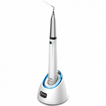 Woodpecker DTE Endo 1 歯科コードレス超音波根管洗浄器