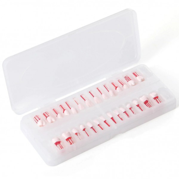 28個/セット 歯科用タイポドント歯 根管治療練習モデル