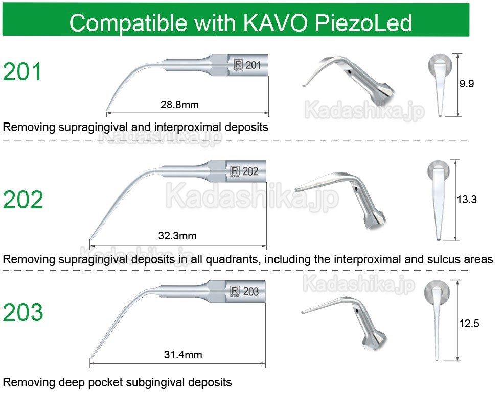 5本 Refine® スケーリング用超音波スケーラーチップ (KAVO PiezoLedと互換性あり)