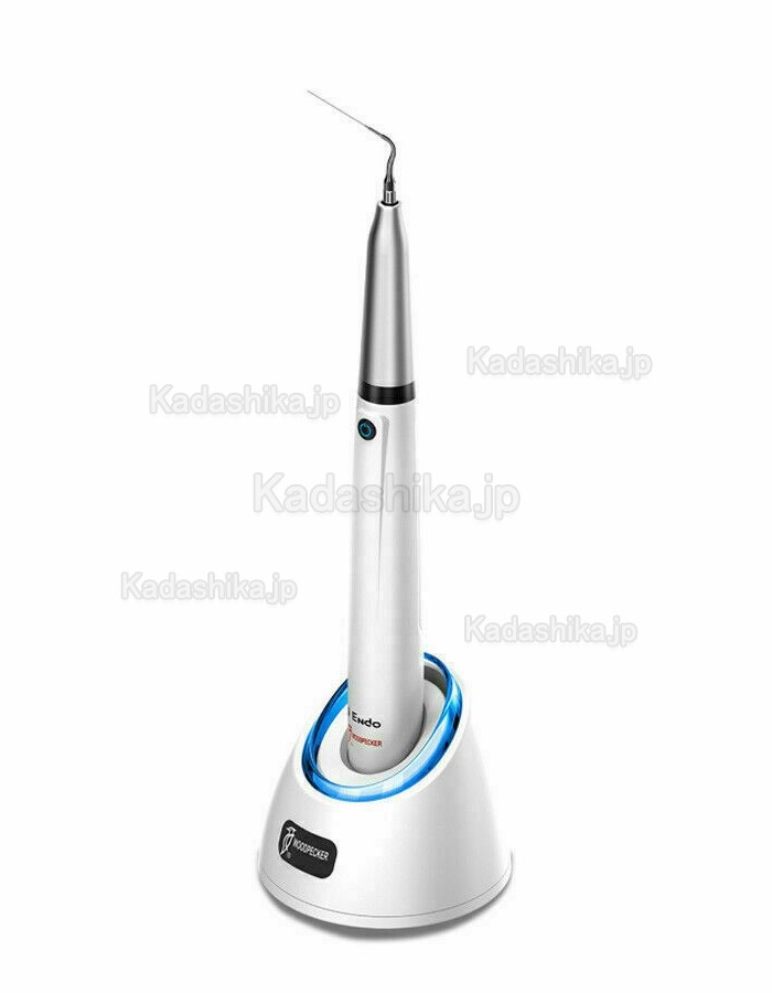 Woodpecker DTE Endo 1 歯科コードレス超音波根管洗浄器