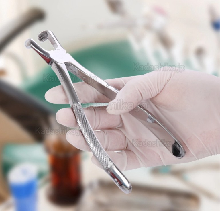 10 個/セット 歯科抜歯鉗子 歯科プライヤー 歯科手術用抜歯器具 10 個/セット 歯科抜歯鉗子 歯科プライヤー 歯科手術用抜歯器具
